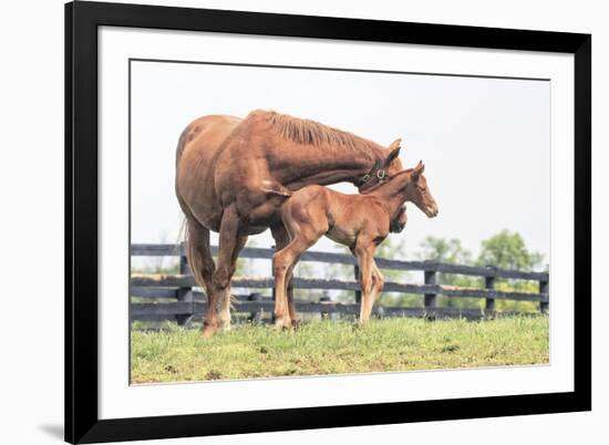 Little Champion-Wink Gaines-Framed Giclee Print