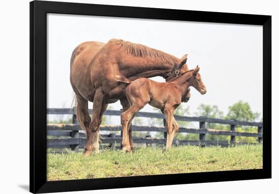 Little Champion-Wink Gaines-Framed Giclee Print