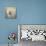 Little Cotton Ball Bichon Frise-Jai Johnson-Giclee Print displayed on a wall