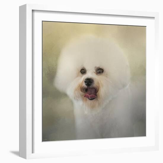 Little Cotton Ball Bichon Frise-Jai Johnson-Framed Giclee Print