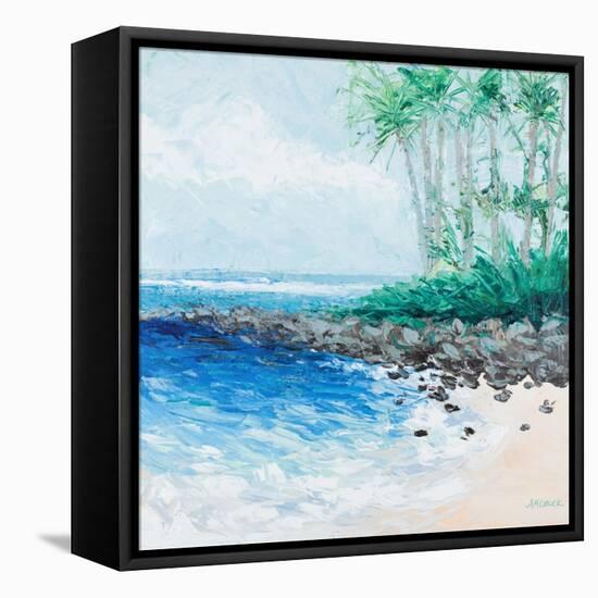 Little Cove-Ann Marie Coolick-Framed Stretched Canvas