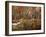 Little Creek Down In The Woods-Ruth Palmer-Framed Art Print