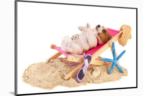 Little Cute Beach Puppy Resting In Chair-Ivonnewierink-Mounted Photographic Print