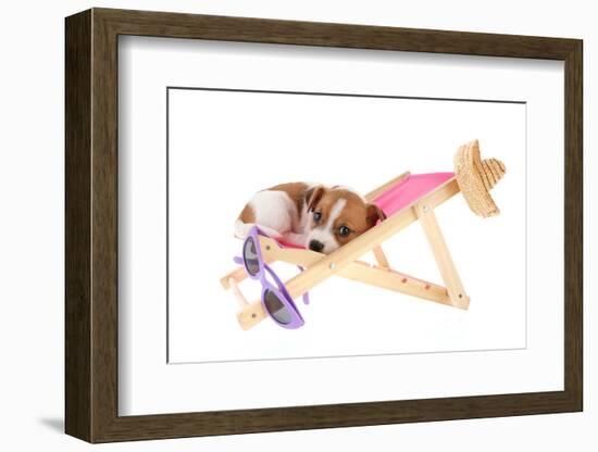 Little Cute Beach Puppy Resting In Chair-Ivonnewierink-Framed Photographic Print