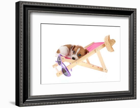 Little Cute Beach Puppy Resting In Chair-Ivonnewierink-Framed Photographic Print