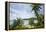 Little Dix Bay, Virgin Gorda, British Virgin Islands-Macduff Everton-Framed Premier Image Canvas