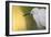 Little Egret - Right-Staffan Widstrand-Framed Giclee Print