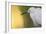 Little Egret - Right-Staffan Widstrand-Framed Giclee Print