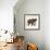 Little Elephant-Sharon Turner-Framed Art Print displayed on a wall