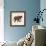 Little Elephant-Sharon Turner-Framed Art Print displayed on a wall