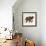 Little Elephant-Sharon Turner-Framed Art Print displayed on a wall