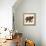 Little Elephant-Sharon Turner-Framed Stretched Canvas displayed on a wall