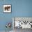 Little Elephant-Sharon Turner-Framed Stretched Canvas displayed on a wall