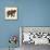 Little Elephant-Sharon Turner-Framed Stretched Canvas displayed on a wall