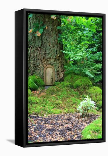 Little Fairy Tale Door in a Tree Trunk.-Hannamariah-Framed Premier Image Canvas