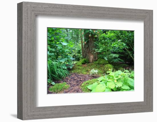 Little Fairy Tale Door in a Tree Trunk.-Hannamariah-Framed Photographic Print