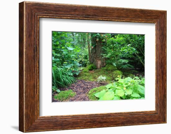 Little Fairy Tale Door in a Tree Trunk.-Hannamariah-Framed Photographic Print