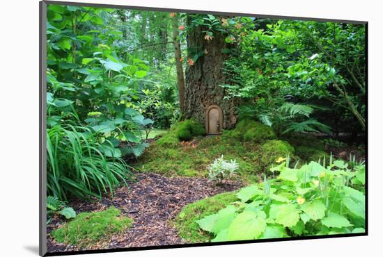 Little Fairy Tale Door in a Tree Trunk.-Hannamariah-Mounted Photographic Print