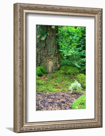 Little Fairy Tale Door in a Tree Trunk.-Hannamariah-Framed Photographic Print