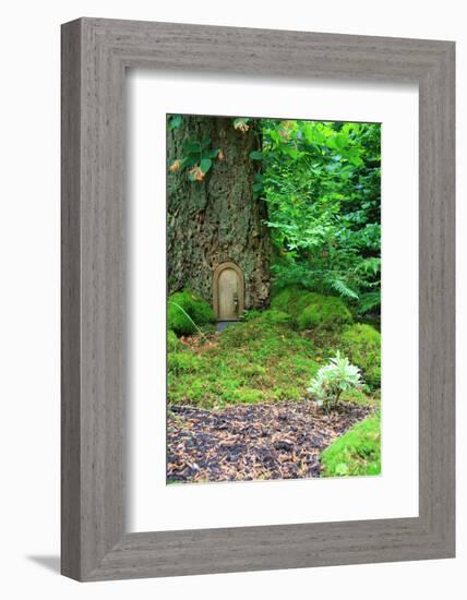 Little Fairy Tale Door in a Tree Trunk.-Hannamariah-Framed Photographic Print