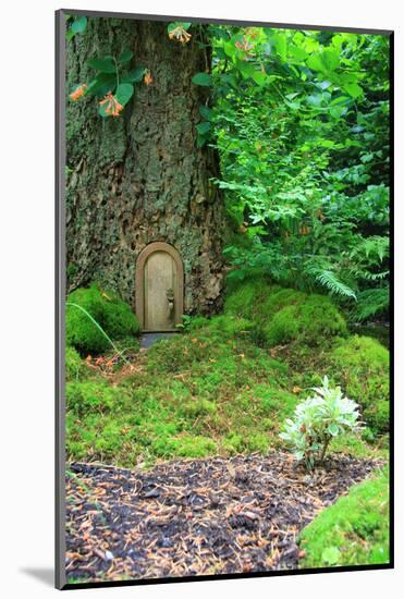Little Fairy Tale Door in a Tree Trunk.-Hannamariah-Mounted Photographic Print