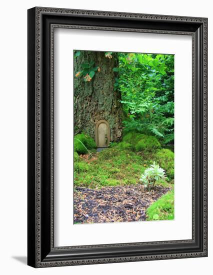 Little Fairy Tale Door in a Tree Trunk.-Hannamariah-Framed Photographic Print