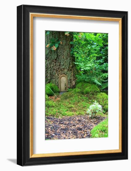 Little Fairy Tale Door in a Tree Trunk.-Hannamariah-Framed Photographic Print