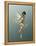 Little Fairy-Atelier Sommerland-Framed Stretched Canvas