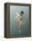 Little Fairy-Atelier Sommerland-Framed Stretched Canvas