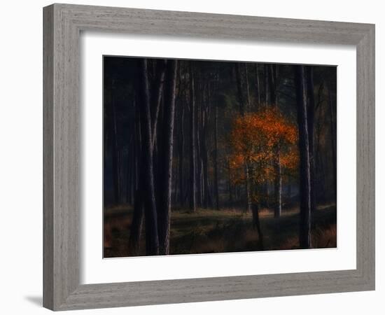 Little Fall-Ruud Peters-Framed Photographic Print