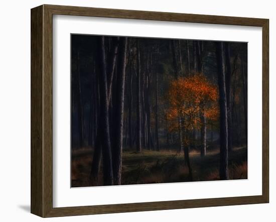 Little Fall-Ruud Peters-Framed Photographic Print