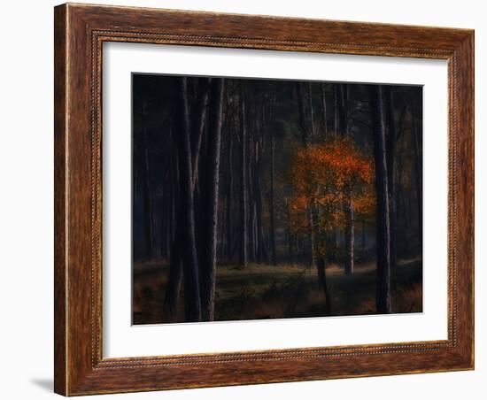 Little Fall-Ruud Peters-Framed Photographic Print