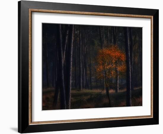 Little Fall-Ruud Peters-Framed Photographic Print