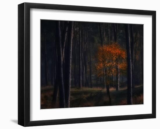 Little Fall-Ruud Peters-Framed Photographic Print