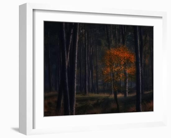 Little Fall-Ruud Peters-Framed Photographic Print