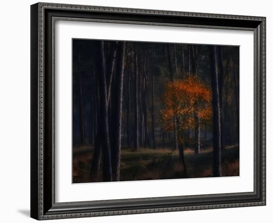 Little Fall-Ruud Peters-Framed Photographic Print