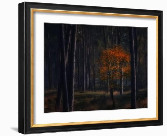 Little Fall-Ruud Peters-Framed Photographic Print