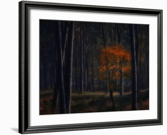 Little Fall-Ruud Peters-Framed Photographic Print