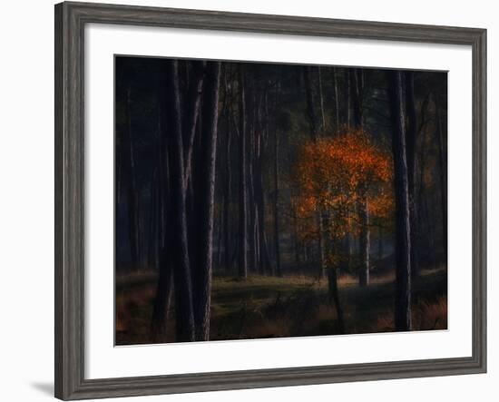 Little Fall-Ruud Peters-Framed Photographic Print