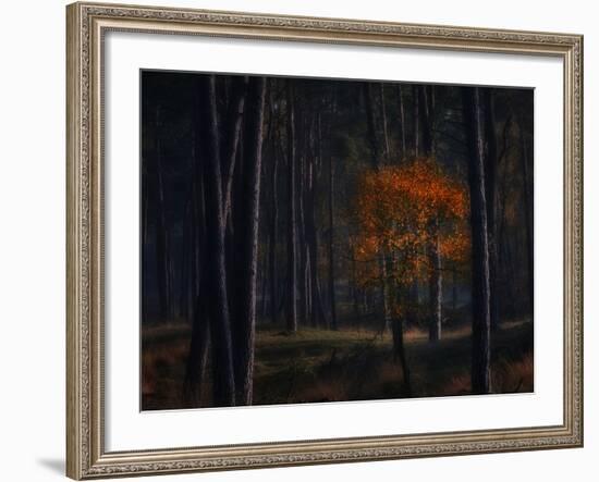 Little Fall-Ruud Peters-Framed Photographic Print