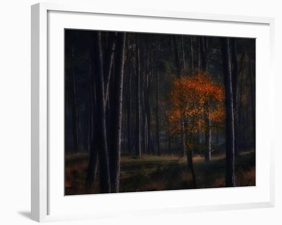 Little Fall-Ruud Peters-Framed Photographic Print