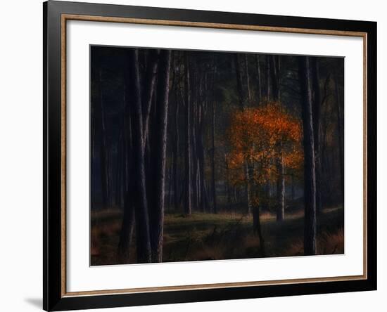Little Fall-Ruud Peters-Framed Photographic Print
