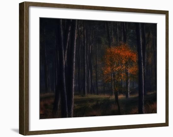 Little Fall-Ruud Peters-Framed Photographic Print