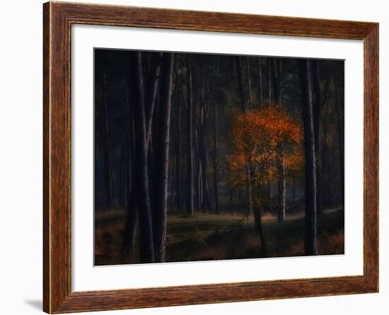 Little Fall-Ruud Peters-Framed Photographic Print