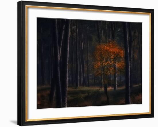 Little Fall-Ruud Peters-Framed Photographic Print