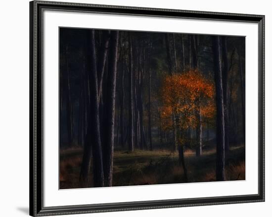 Little Fall-Ruud Peters-Framed Photographic Print