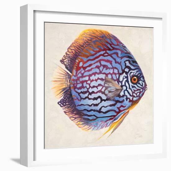 Little Fish I-Patricia Pinto-Framed Art Print