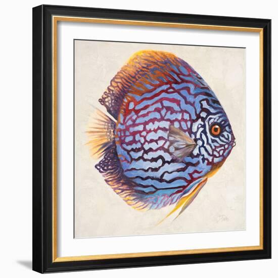 Little Fish I-Patricia Pinto-Framed Art Print