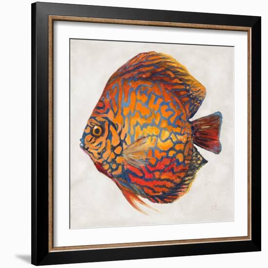 Little Fish II-Patricia Pinto-Framed Art Print