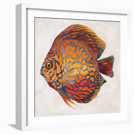 Little Fish II-Patricia Pinto-Framed Art Print